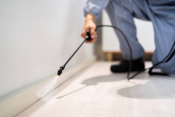 Licensed Termite Control service in Blue Jay, OH - Nex Pest Control