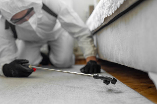 Professional Termite Control technician working in Blue Jay, OH