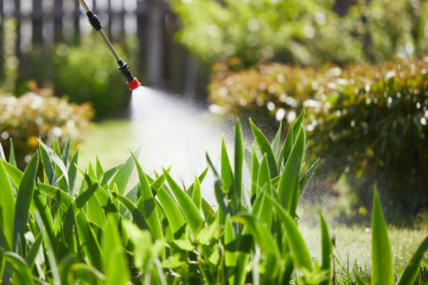 24/7 Emergency Termite Control experts in Blue Jay, OH