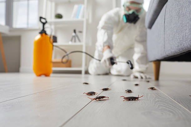 Trusted Termite Control service in Blue Jay, OH - Nex Pest Control